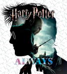 Harry Potter Cromos + Cards