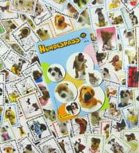 Panini Mundo Canino - todos los cromos + álbum vacío